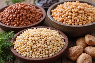 Una selezione di legumi secchi e cucinati, come lenticchie, ceci e fagioli, in ciotole rustiche su un tavolo di legno.